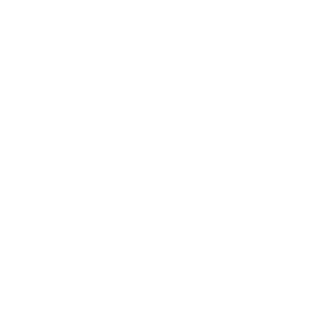 linkedin icon